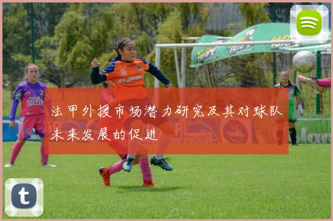 法甲外援市场潜力研究及其对球队未来发展的促进