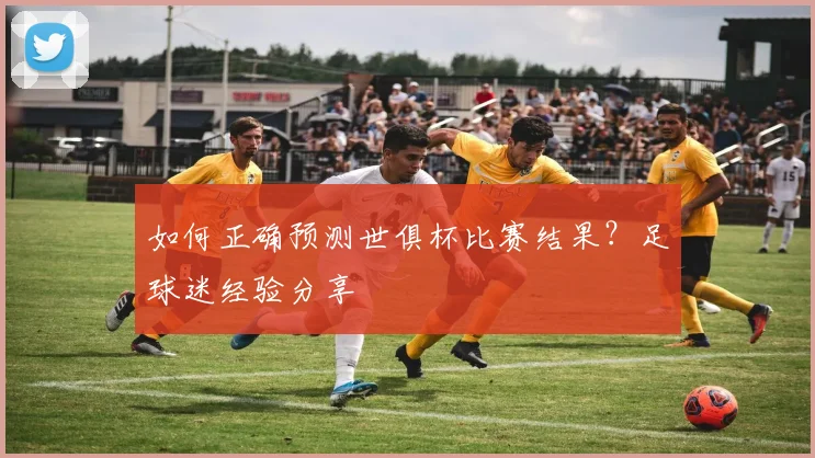 如何正确预测世俱杯比赛结果？足球迷经验分享