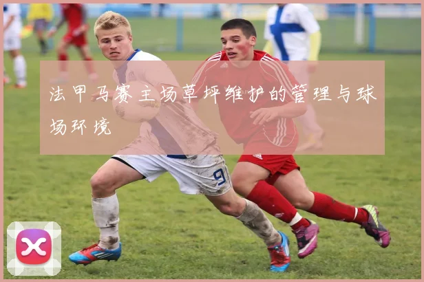法甲马赛主场草坪维护的管理与球场环境