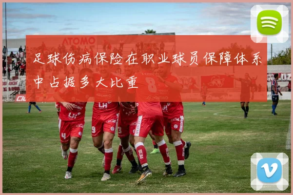 足球伤病保险在职业球员保障体系中占据多大比重