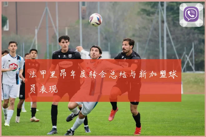 法甲里昂年度转会总结与新加盟球员表现