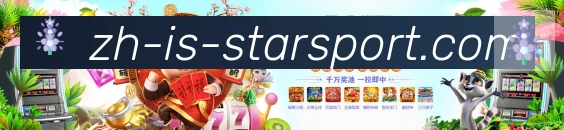 未来规划