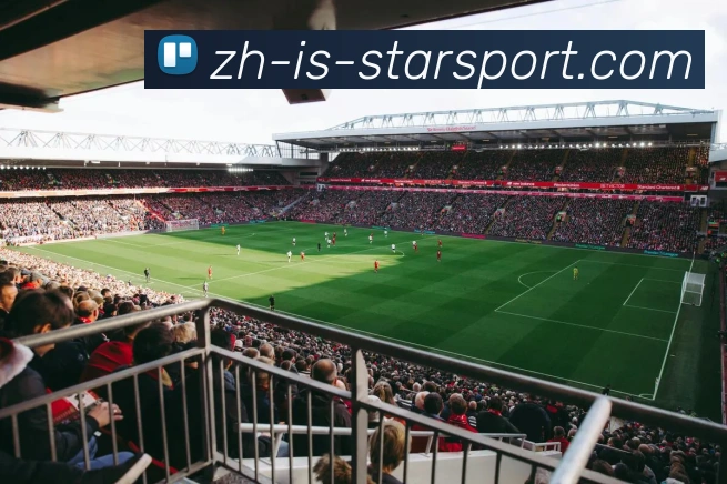 星空体育APP 封面图